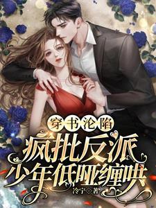 重生红色仕途第二部