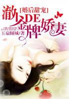 傅燕城盛眠大结局
