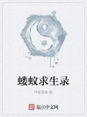 亮剑我孔明在世