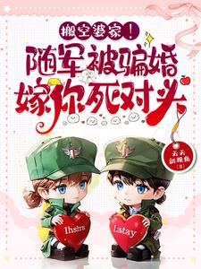 傻阿呆txt宝书