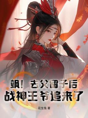 九大海盗王