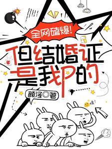 穿越崩坏三话本
