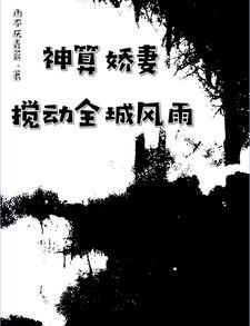 席少宠妻无度免费阅读