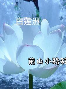 穿越70带兄弟姐妹一起下乡 笔趣阁