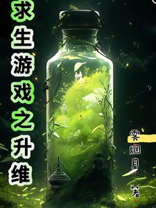 金戈伴君行 平安宝