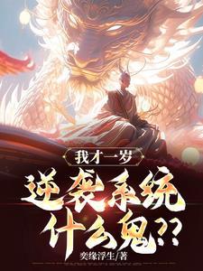 北宋小厨师
