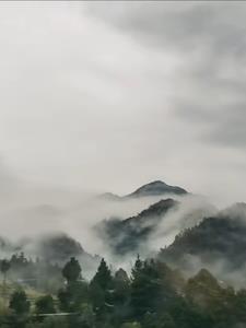 我竟然是修仙大佬