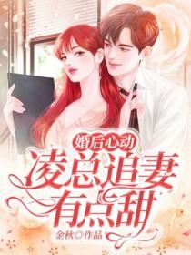 豪门大佬的小病猫 初霜念妻